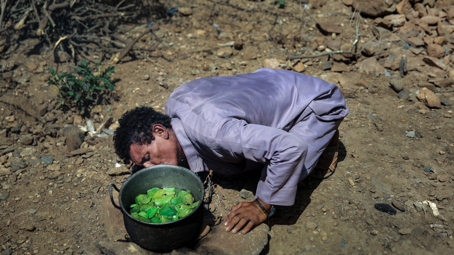United States won't refuel Saudi coalition planes bombing Yemen anymore