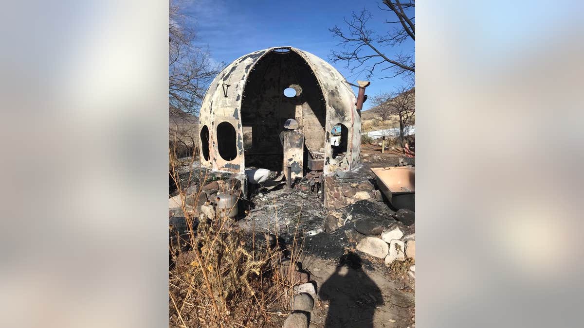 The dogs were discovered in a burning structure near Doyle, California, with their owner and mother nowhere in sight.