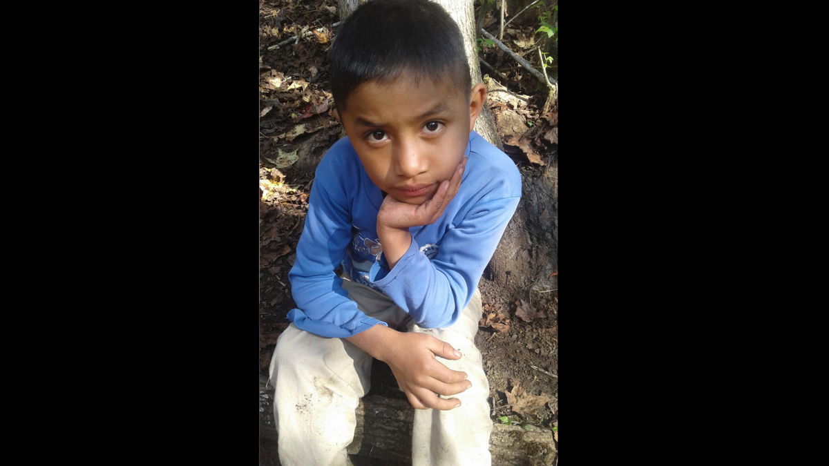 Felipe Gomez Alonzo, 8, died in U.S. custody at a New Mexico hospital on Christmas Eve after suffering a cough, vomiting and fever, authorities said (Catarina Gomez via AP)