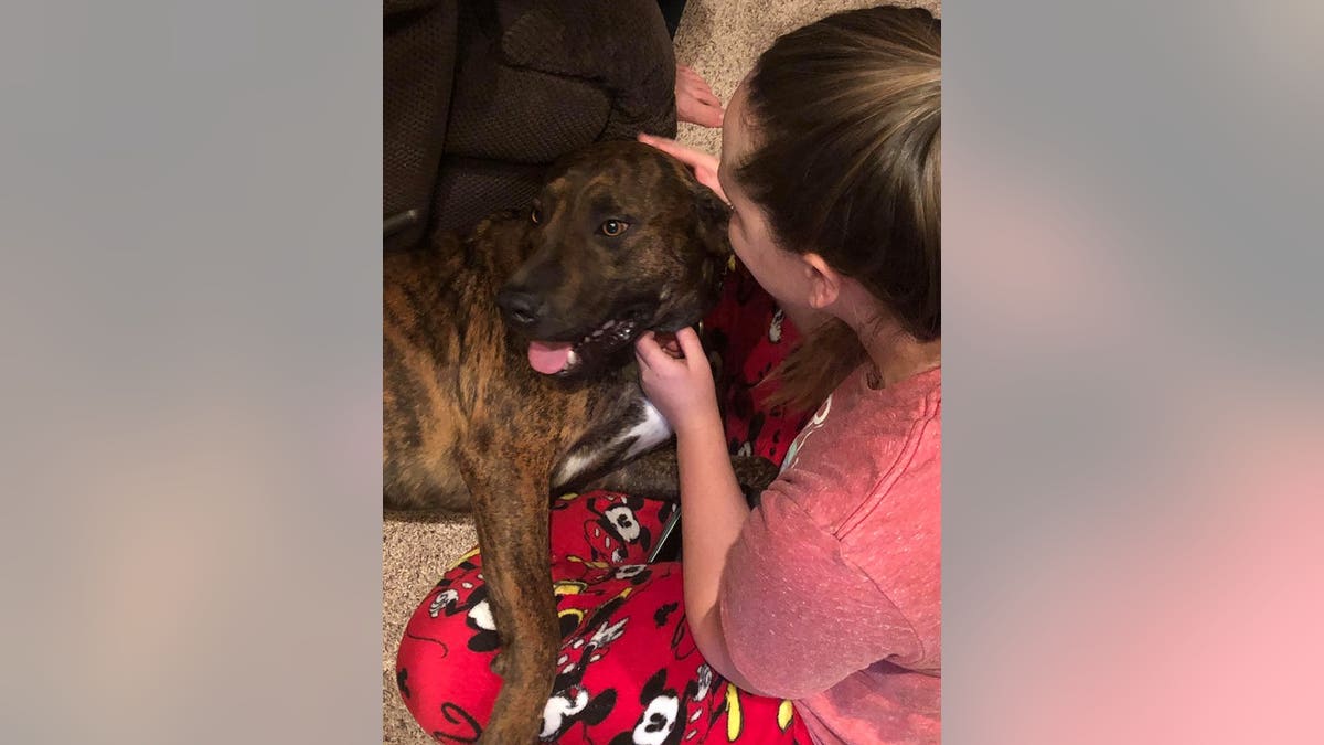 Hallee Faqua was surprised by her family on Sunday night with a dog named "Rambo" who she had been volunteering with at a Humane Society in Oklahoma.