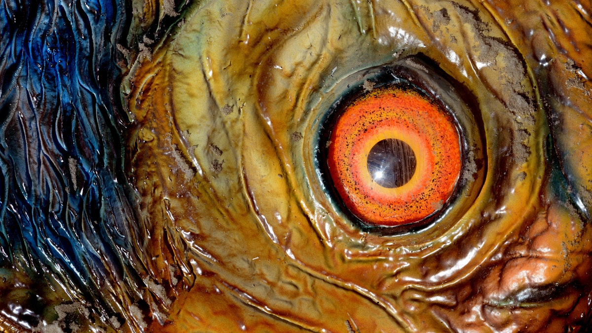 File photo - The eye of a life-sized dinosaur replica is seen in Wustermark, Germany, 23 March 2015.