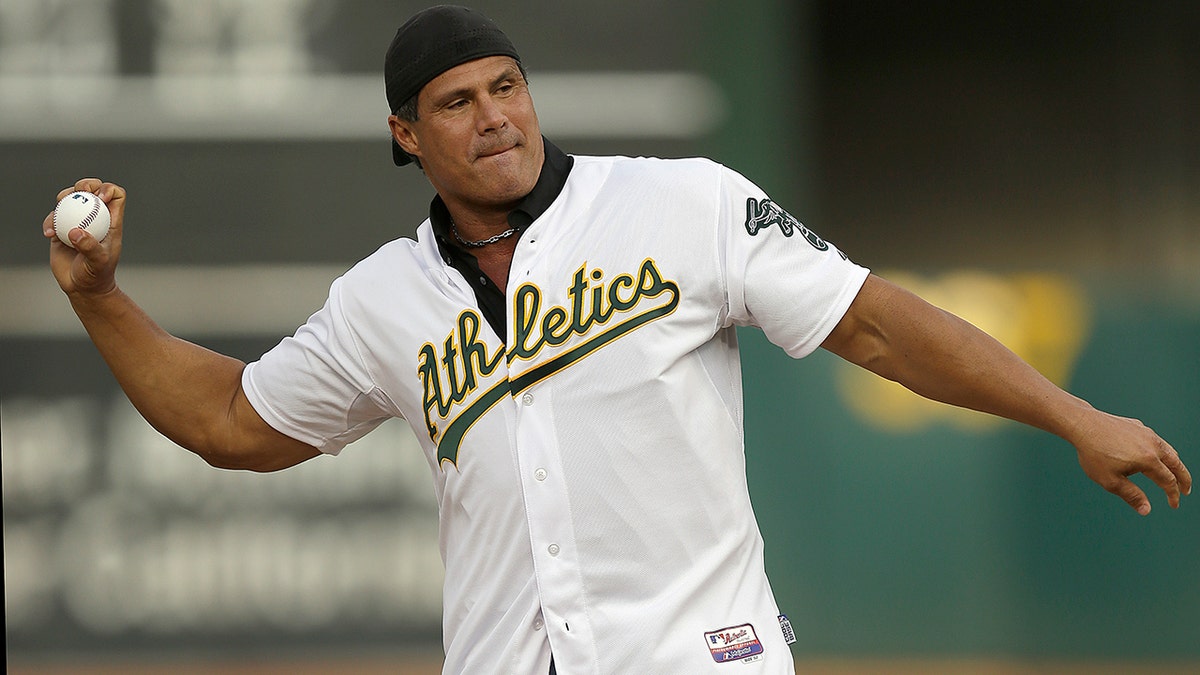 Jose Canseco, a former major league slugger, has made his pitch for a big job at the White House, tweeting President Donald Trump: "u need a bash brother for Chief if (sic) Staff."