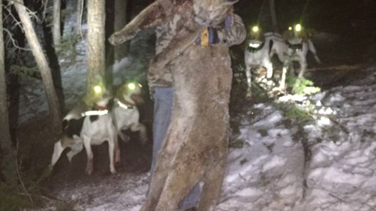 “Illegal and unethical actions like what Mr. Pashley participated in put a black eye on hunters, outfitters andhoundsmen," said CPW Officer Joe Nicholson in a news release.