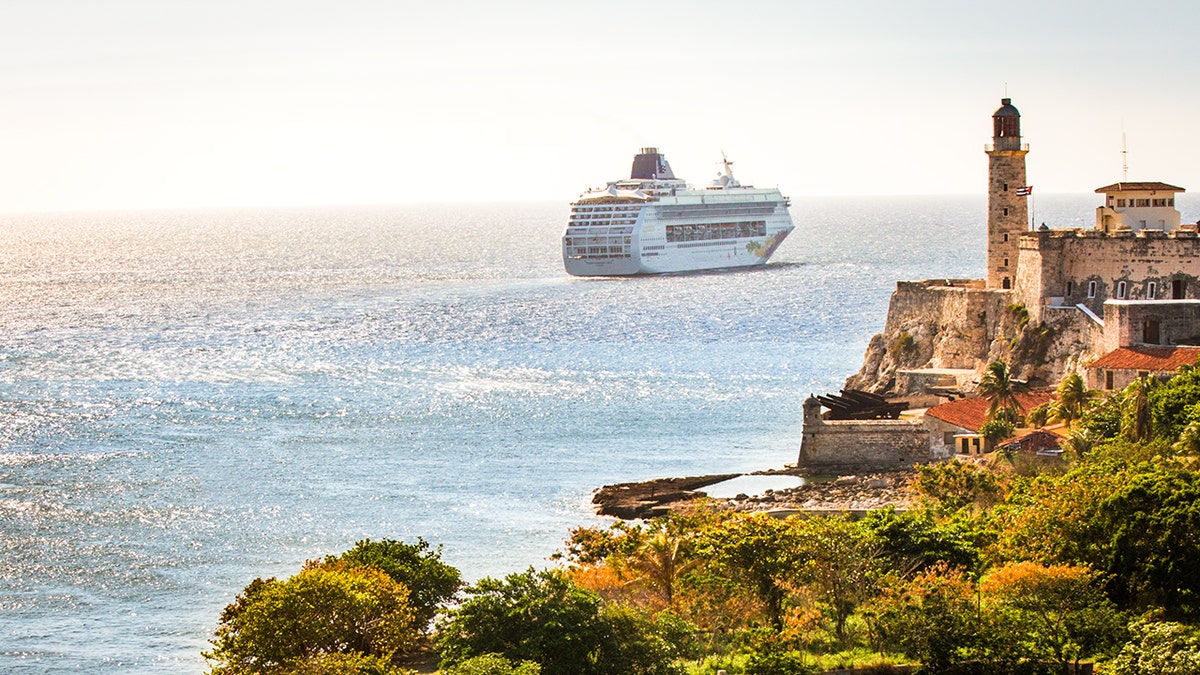 The American couple managed to buy two seats on a flight home but were devastated their cruise journey had ended prematurely.