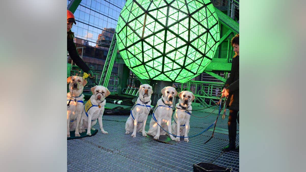 Spike, along with his buddies Mario, Swain, Hadwin and Maddie, got to go behind the scenes and see the ball that drops on New Year's Eve.