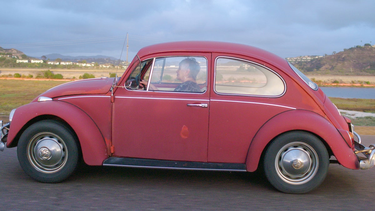 Half-century-old VW Beetle found and fixed up