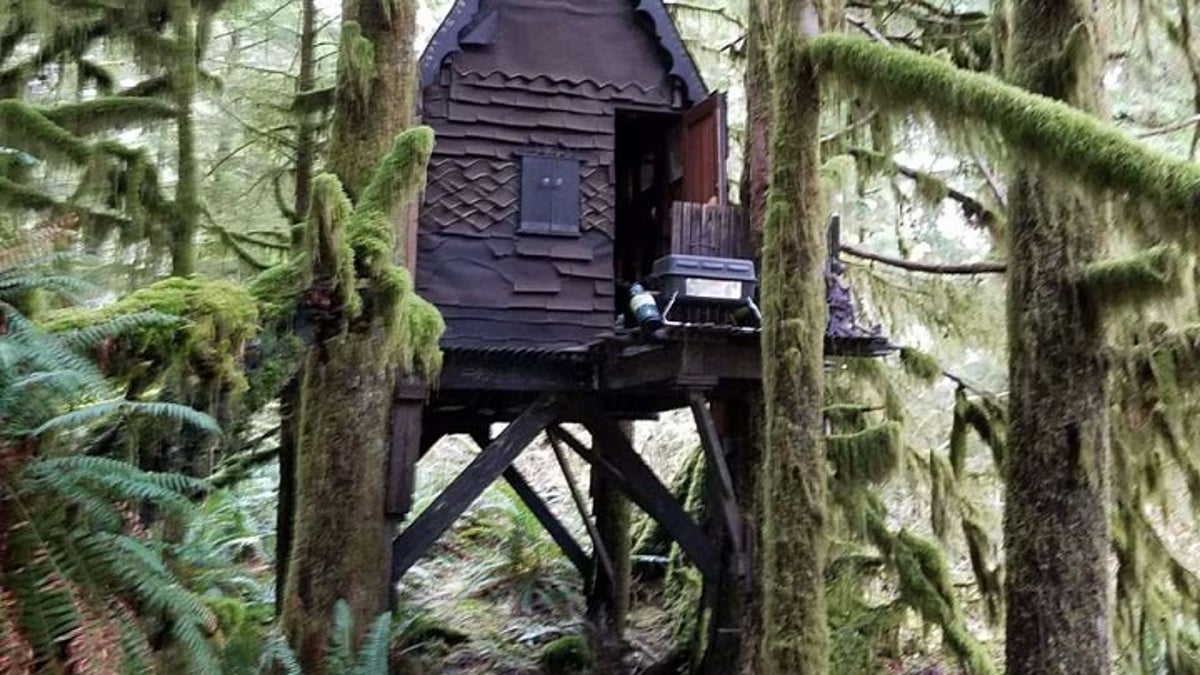 Man with child porn stash in treehouse in woods gets nine months in jail Fox News pic