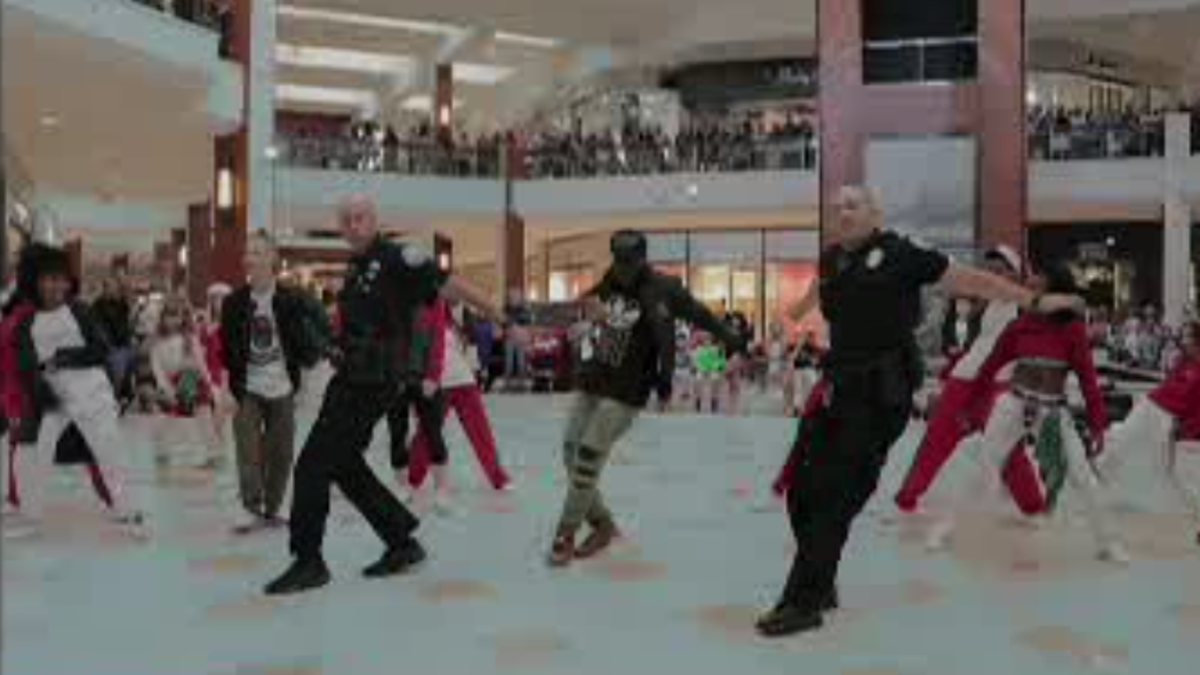 Two officers from the Aventura Police Department busted a move with a flash mob at a mall in Florida.
