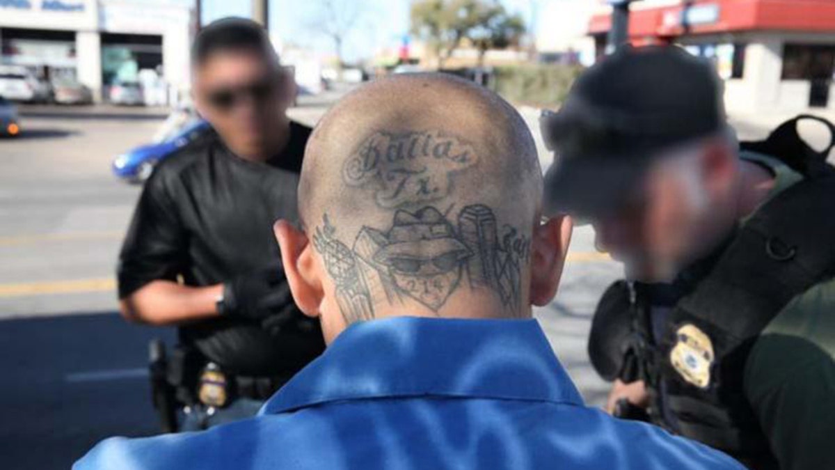 ICE released this photo in announcing hundreds of arrests that were part of a crackdown in 2014 targeting the Surenos gang.