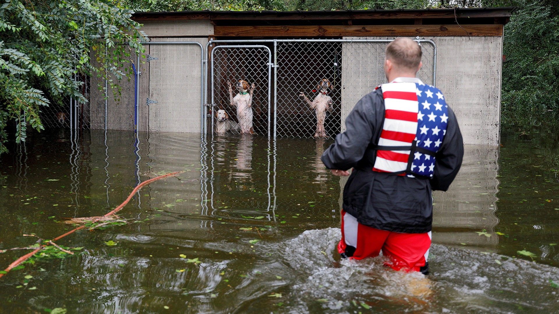 Volunteer rescuer Ryan Nichols rescues panicked dogs that were left caged by an owner who fled rising flood waters in the aftermath of Hurricane Florence in Leland, North Carolina, September 16, 2018. 