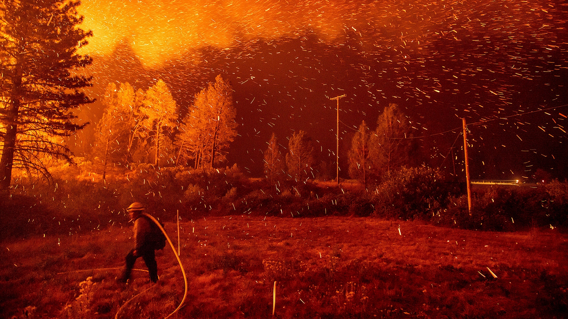 Embers fly above a firefighter trying to control a backfire as the Delta Fire burns in California's Shasta-Trinity National Forest, September 6, 2018.