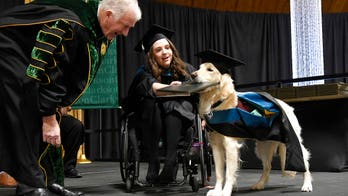 Service dog receives honorary diploma as handler graduates college