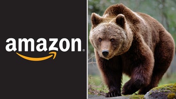 24 Amazon employees hospitalized, one in critical condition, after exposure to bear repellent
