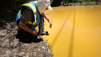 EPA: Fish damage from mine spill wasn't severe, long-lasting