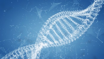 Biohacker injects himself with DNA sequence made from Bible and Koran verses