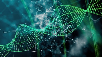 Vermont fertility doctor accused of using his own sperm to inseminate woman 41 years ago: lawsuit