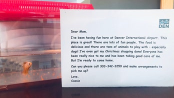 Denver airport employees care for fish after Southwest passenger forced to leave it behind