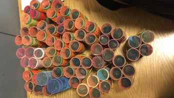 Passenger caught smuggling 70 live finches into US at New York airport