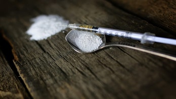 Louisiana police department offers to test meth for Zika virus