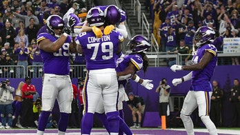 Minnesota Vikings fan puts team's home stadium up for sale on Craigslist