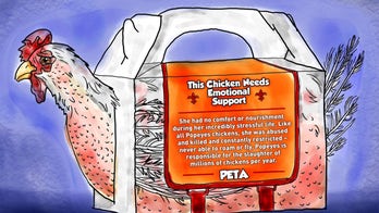 PETA condemns Popeyes' 'emotional support chicken' meal