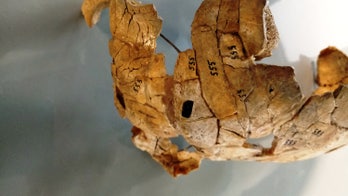 Cannibalism? Nope, this 8,000-year-old man was likely burned in a ritual