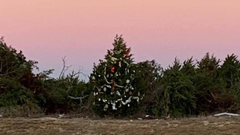 Texas town fights to save mysterious Christmas tree