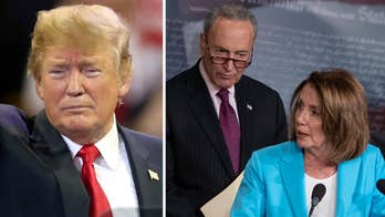 Dems' $600G media campaign suggests Trump right about his foes using shutdown for 2020 strategy