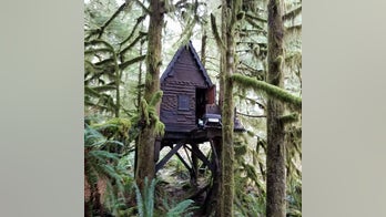 Man with child porn stash in treehouse in woods gets nine months in jail