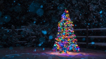 Fall from Scottish town's Christmas tree kills man, officials say