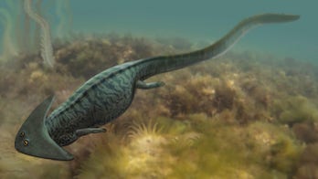How rising temperatures suffocated 96 percent of sea life in Earth's biggest extinction