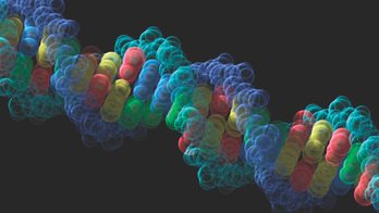 Social justice groups sue California over DNA database that stores profiles of those not convicted: report