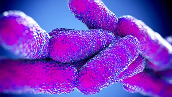 Legionnaires’ outbreak in North Carolina linked to hot tubs at state fair, officials say