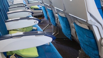 Plane passenger disgusted to find used hair extension in seat-back pocket