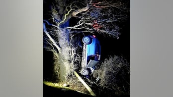 Car found hanging from tree after drunk driving crash