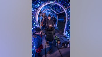 Woman proposes to partner in England's now-famous plastic supermarket tunnel