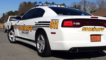 Two pit bulls are shot dead after attacking homeowner, guest and responding deputy, reports say