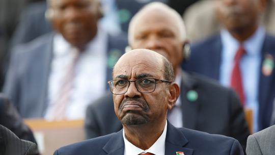 Sudan unions call for 2nd march on Bashir's palace