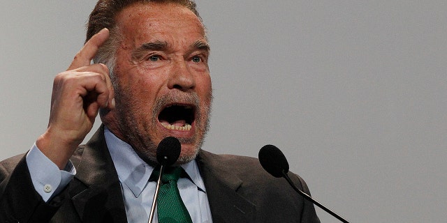 Actor Arnold Schwarzenegger delivers a speech during the opening of COP24 UN Climate Change Conference 2018 in Katowice, Poland, Monday, Dec. 3, 2018.)