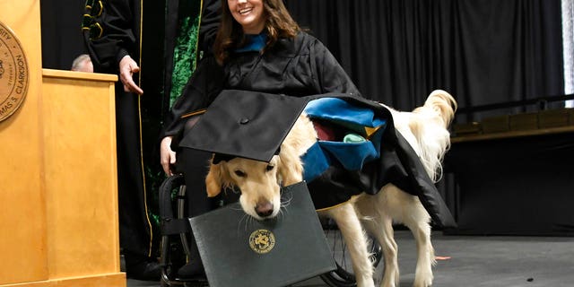 Clark University's Board of Trustees honored Griffin for what they said was "extraordinary effort, steadfast commitment and diligent dedication to the well-being and student success" of his handler.