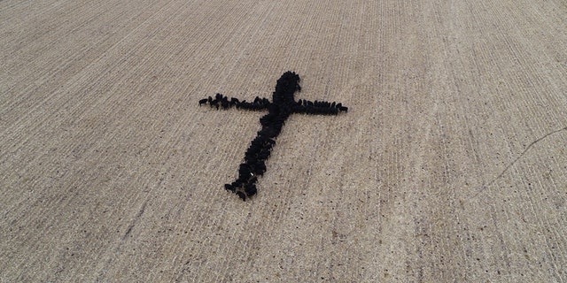 Farmer Gene Hanson took a picture of his neighbor's cows forming the shape of a cross.