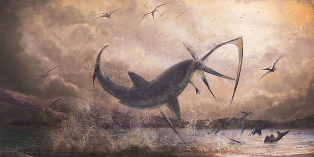 Researchers have discovered fossil evidence that at least one shark in the Cretaceous age caught its food — a flying reptile — in midair. This reconstructed image shows the large Cretoxyrhina mantelli shark biting the neck of a Pteranodon.