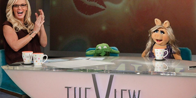 Jenny McCarthy pictured here in 2014 as a co-host on 'The View.'