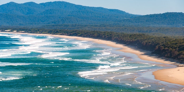 The shark attack happened Sunday near Scotts Beach, located about 300 miles north of Sydney.