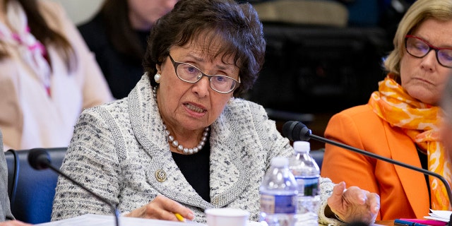 Rep. Nita Lowey said she doesn't plan on "funding Trump's border wall" as the incoming chair of the powerful House Appropriations Committee.