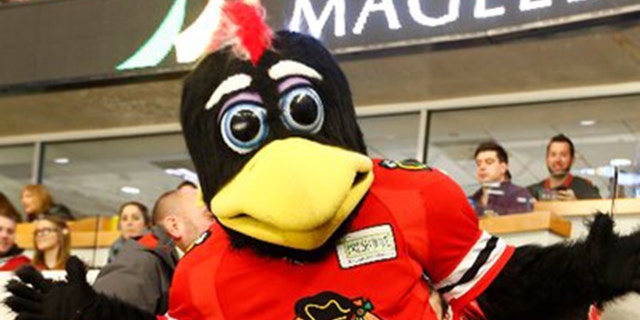 Tommy Hawk, the Chicago Blackhawks costumed mascot.
