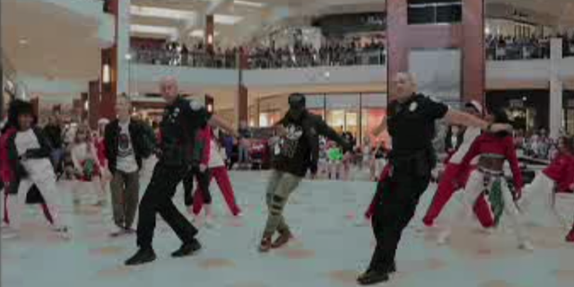 Two officers from the Aventura Police Department busted a move with a flash mob at a mall in Florida.
