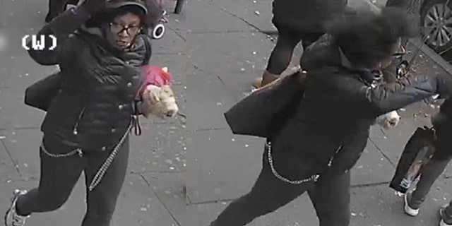 The woman allegedly slashed two other bus riders when they petted her small dog on Monday in the Bronx.
