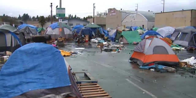 Washington city's homeless camp site plan put on hold by judge's ruling ...