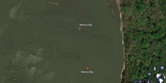 Military shipwrecks dating as far back as the Revolutionary War and including ships from the Civil War and both World War I and World War II were deliberately sunk here at Mallows Bay in Maryland.